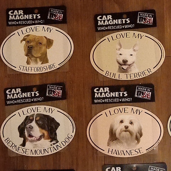 Pet car magnets please read description - Picture 2 of 7